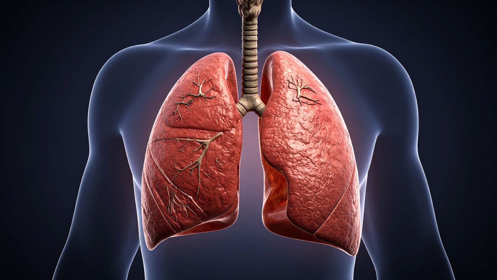 Pulmonology & Lung Care