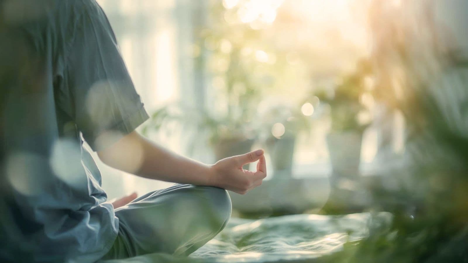 Wellness & Holistic Healing